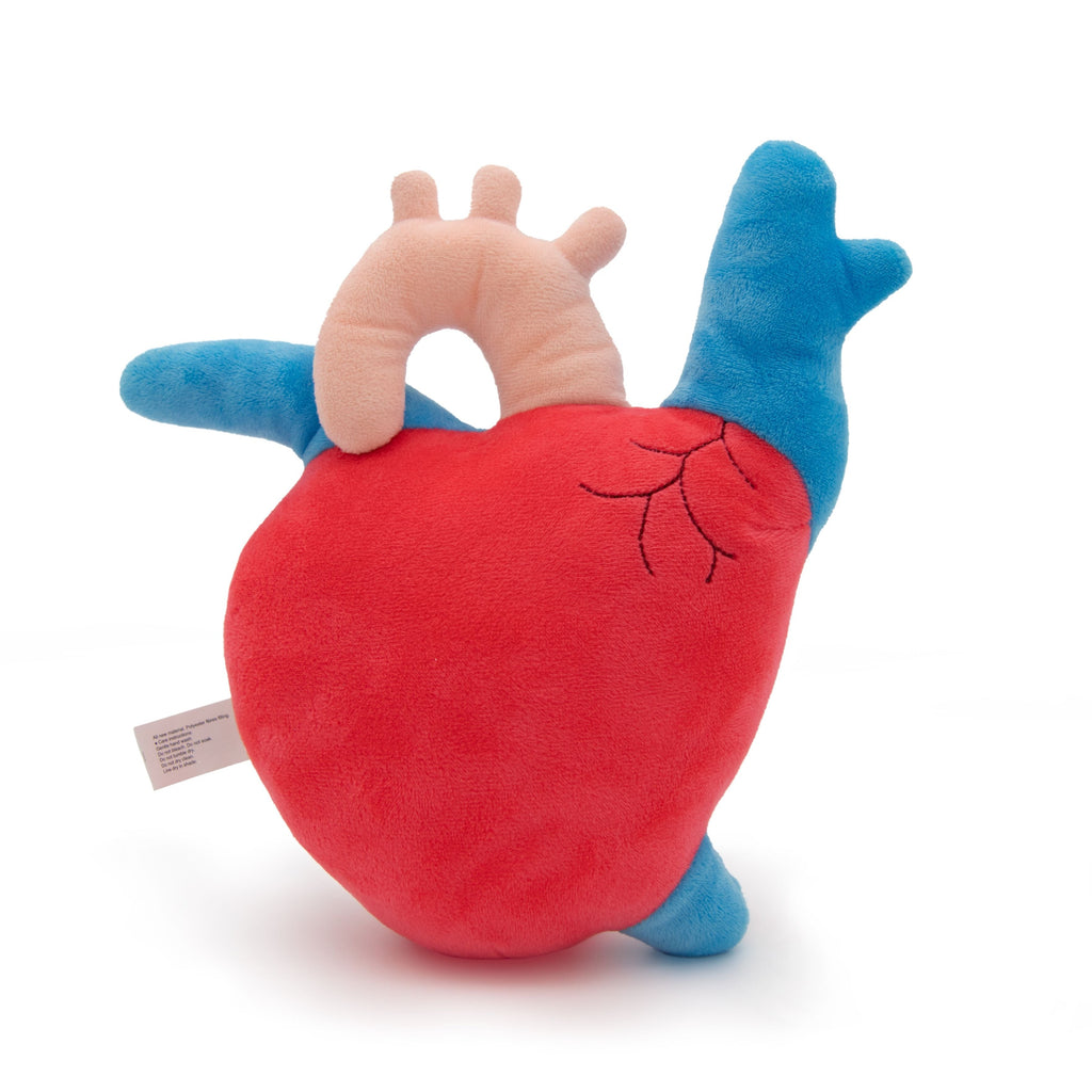 Aortina the Heart Plushie