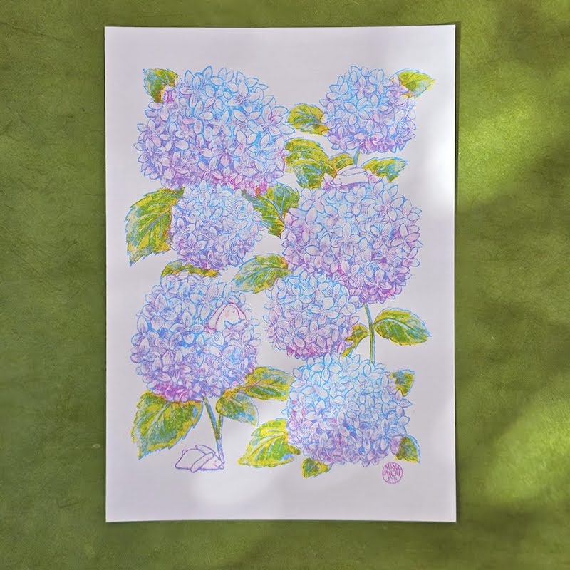 'Hydrangeas' A4 Risograph Print