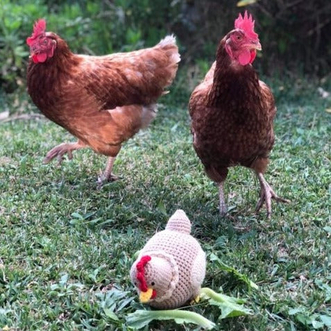 Mamma Hen + Baby Chick + Egg + Nest