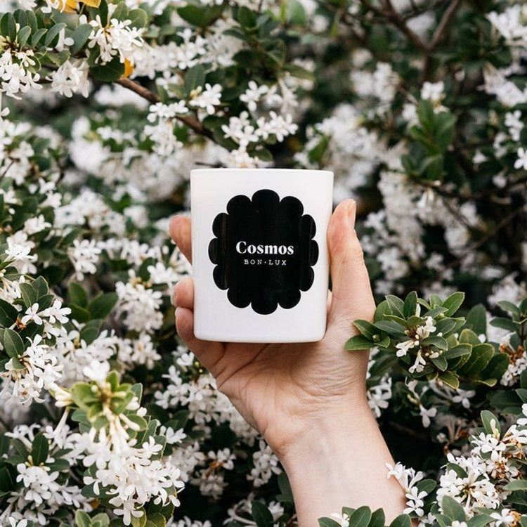 Cosmos Candle