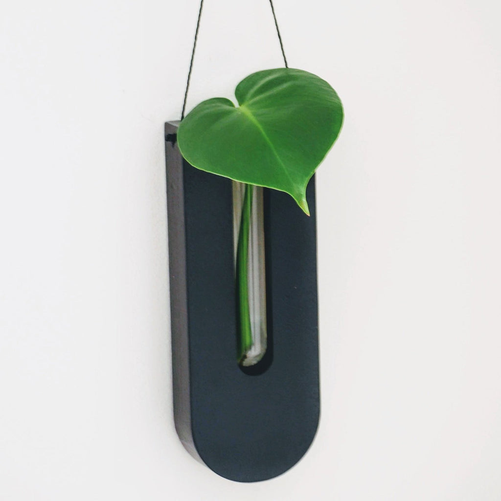 The drop Wall planter - Luna collection (Black)