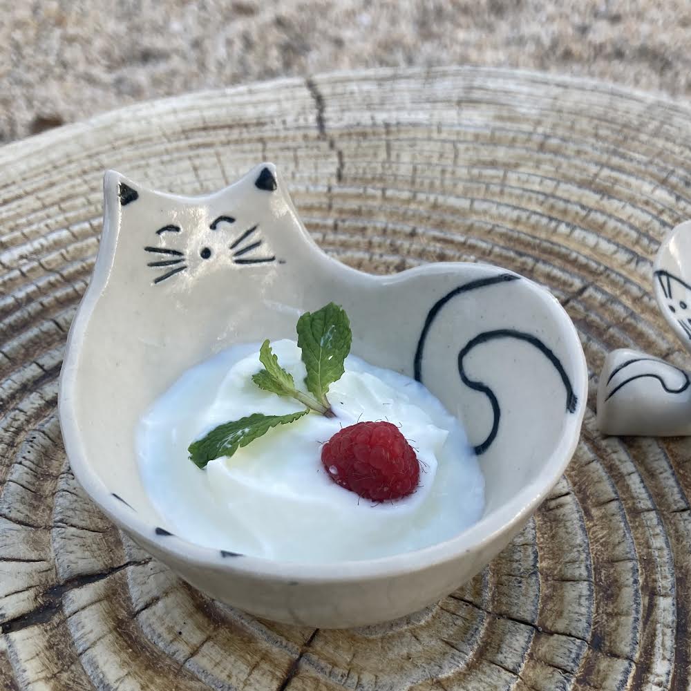Handmade Cat dish