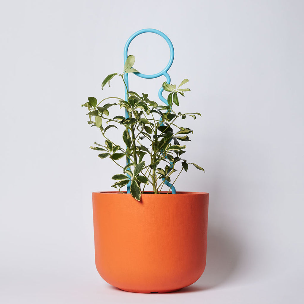 Recycled Plastic Plant Pin - Reduced Fat